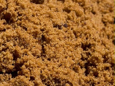 蜜蜂牌传统红糖与普通红糖和赤砂糖有什么区别？